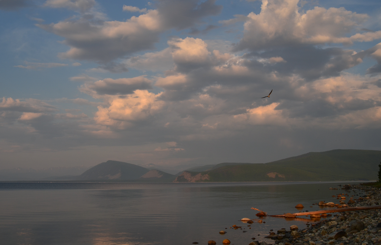 фото "Байкал. Утренний штиль." метки: пейзаж, Байкал, облака, утро, чайка, штиль