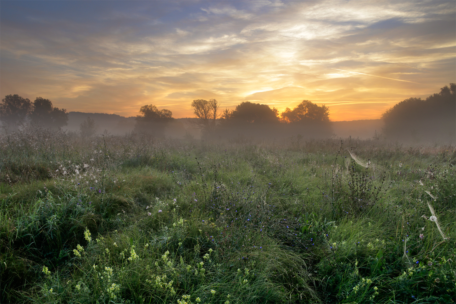 photo "***" tags: landscape, 