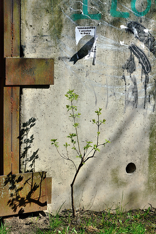 photo "***" tags: misc., 
