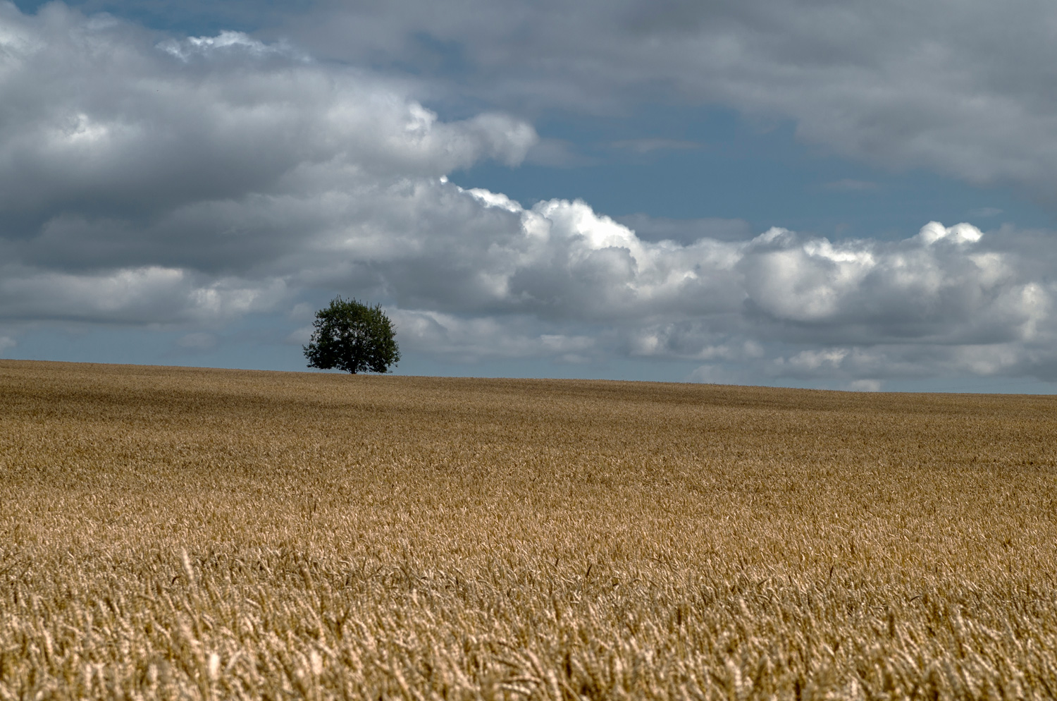 photo "***" tags: landscape, nature, 