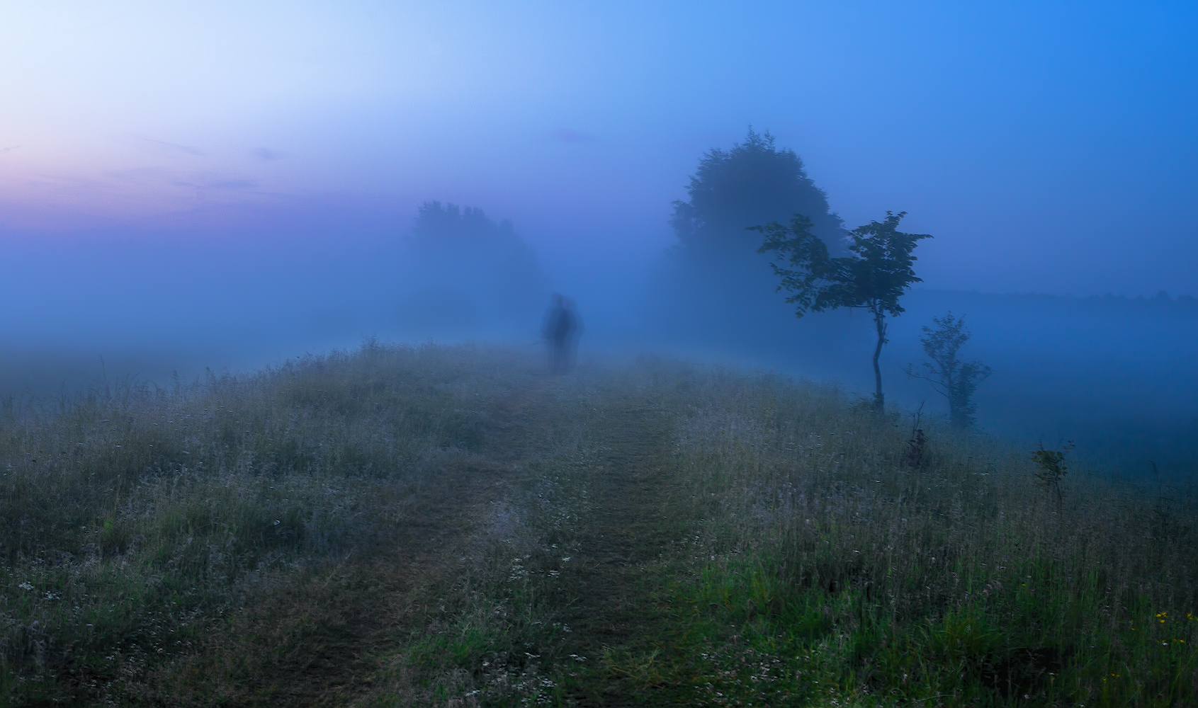фото "Про ёжиков в тумане..." метки: природа, 