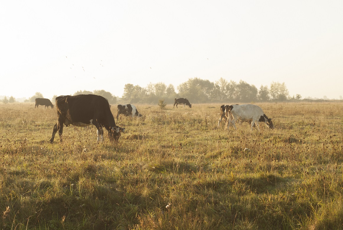 photo "***" tags: , 