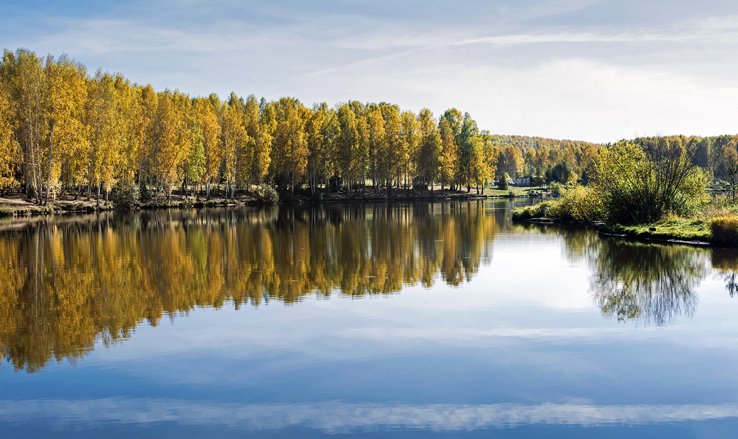 фото "Золотая осень" метки: пейзаж, березы, вода, голубое небо, желтая листва, осень, пруд