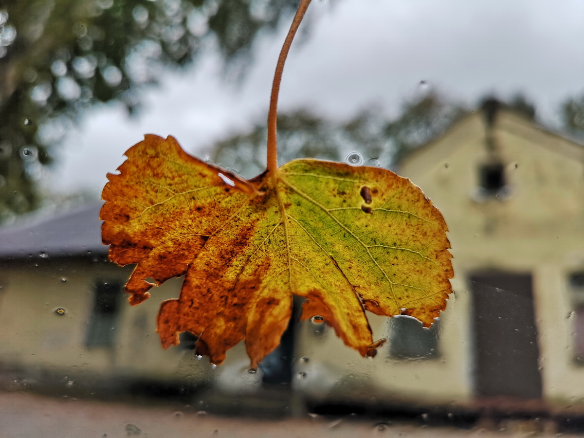 фото "А за стеклом..." метки: разное, 