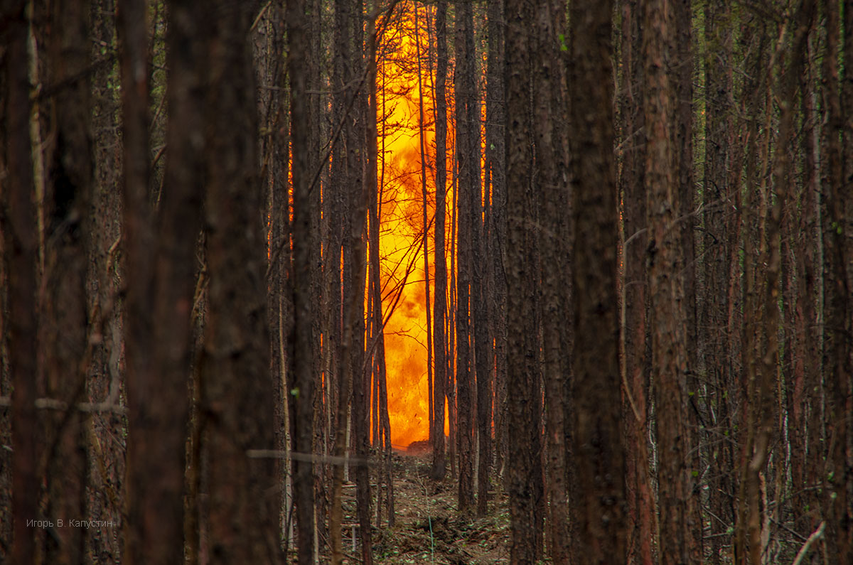 photo "***" tags: genre, nature, 