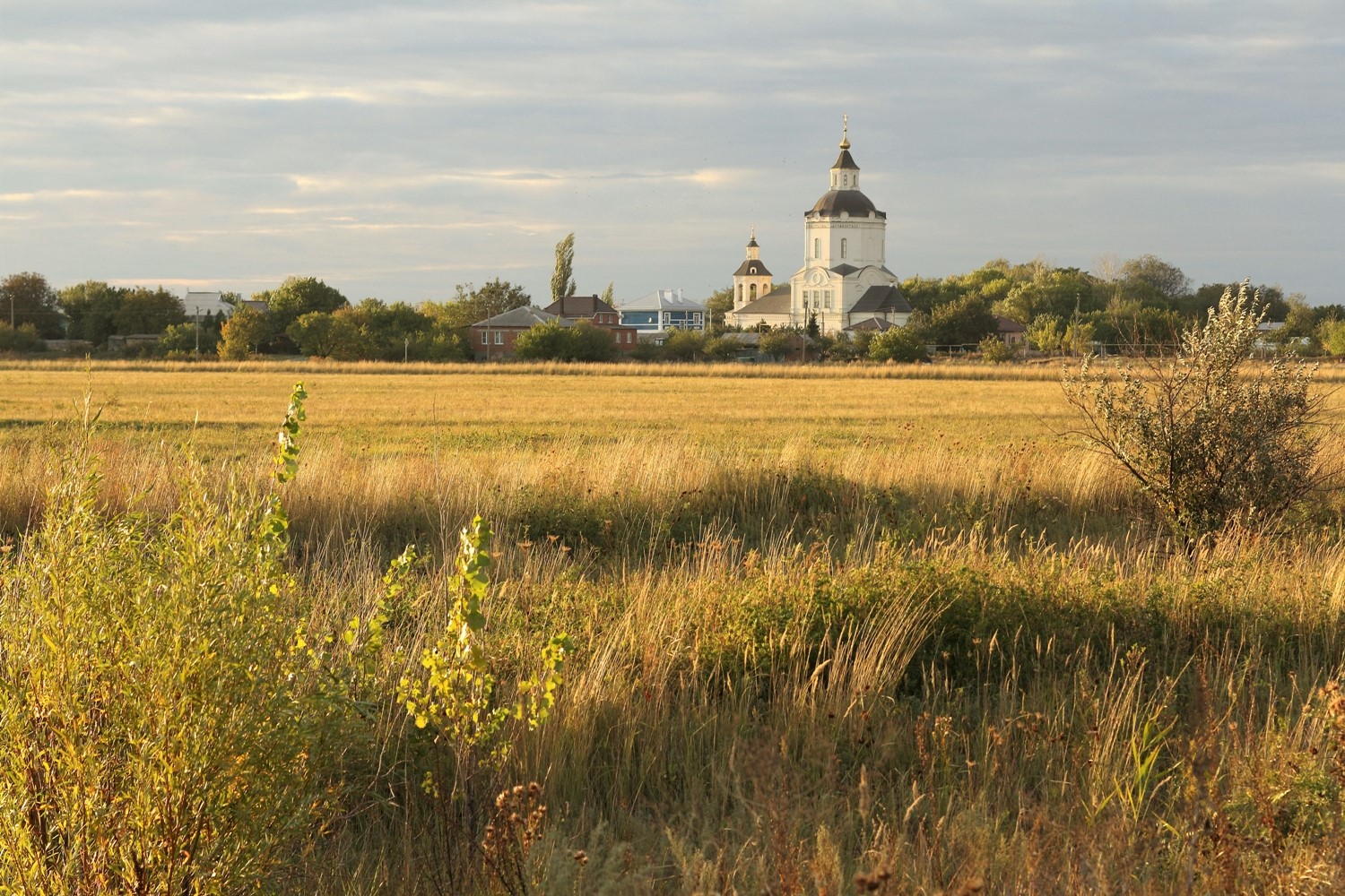 photo "***" tags: landscape, nature, 