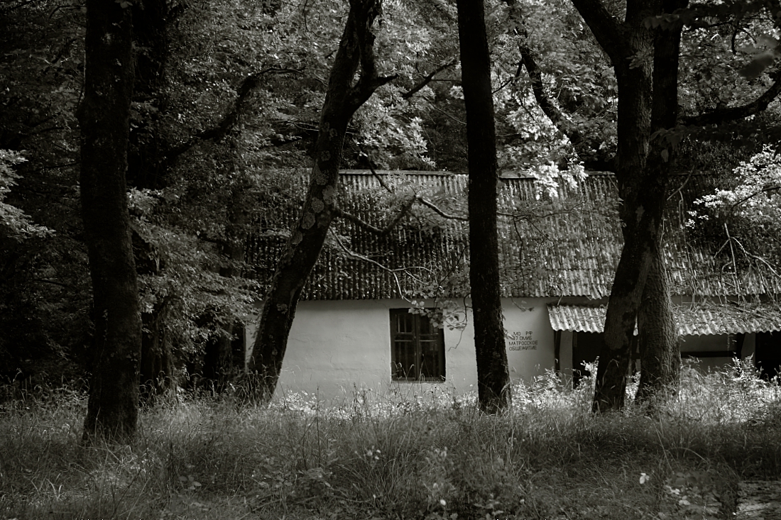 photo "***" tags: , 