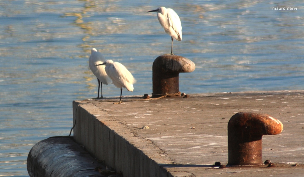 photo "in the port" tags: street, 