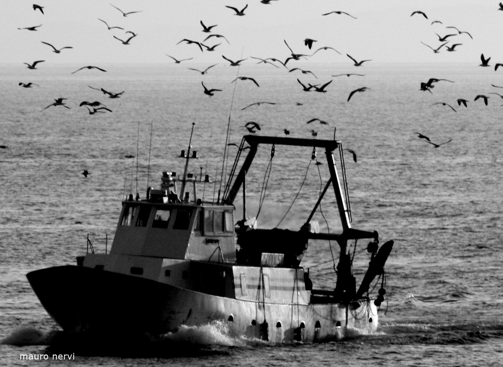 photo "fishermen: coming back home" tags: black&white, 