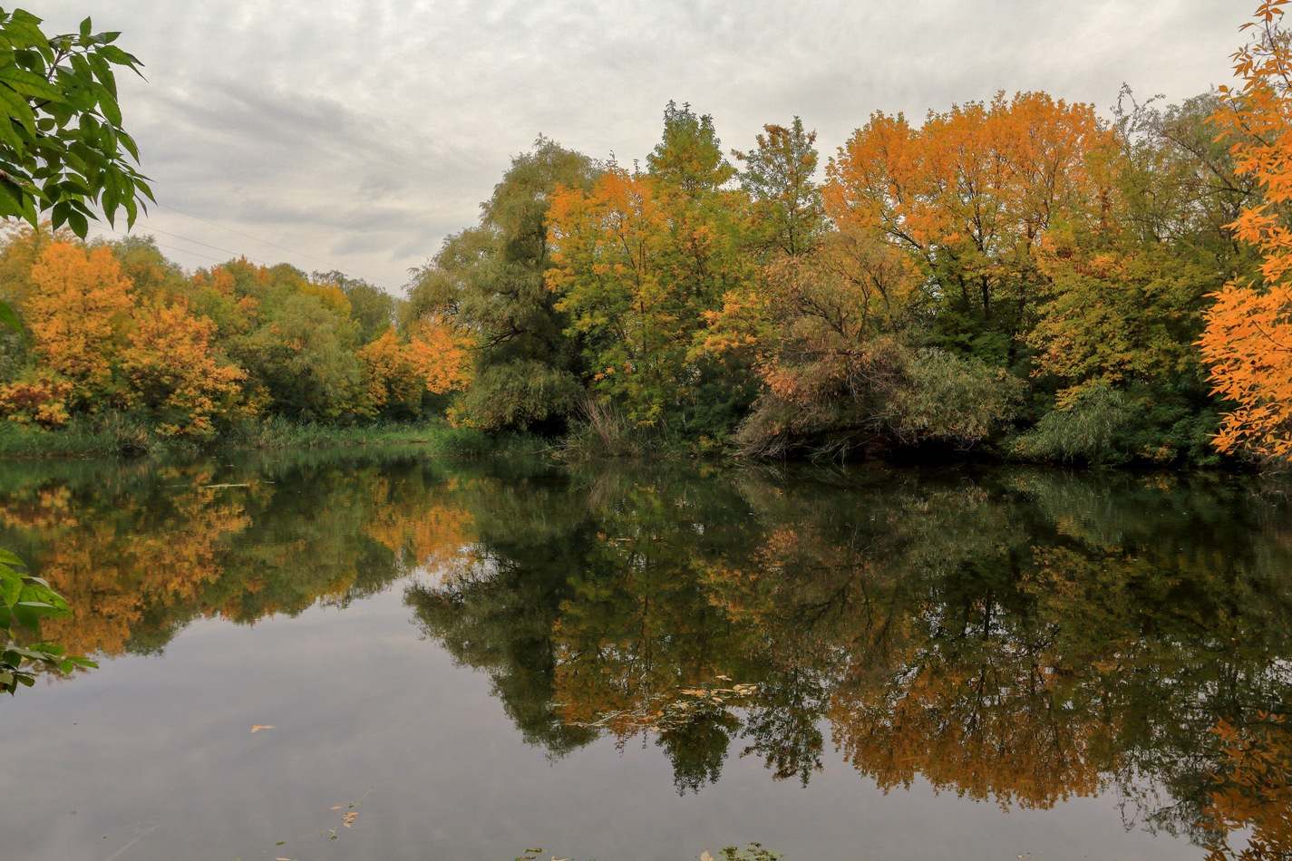 photo "***" tags: landscape, nature, 