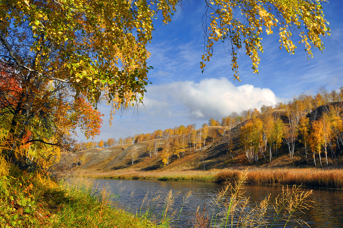 фото "Краски тёплой осени" метки: пейзаж, осень