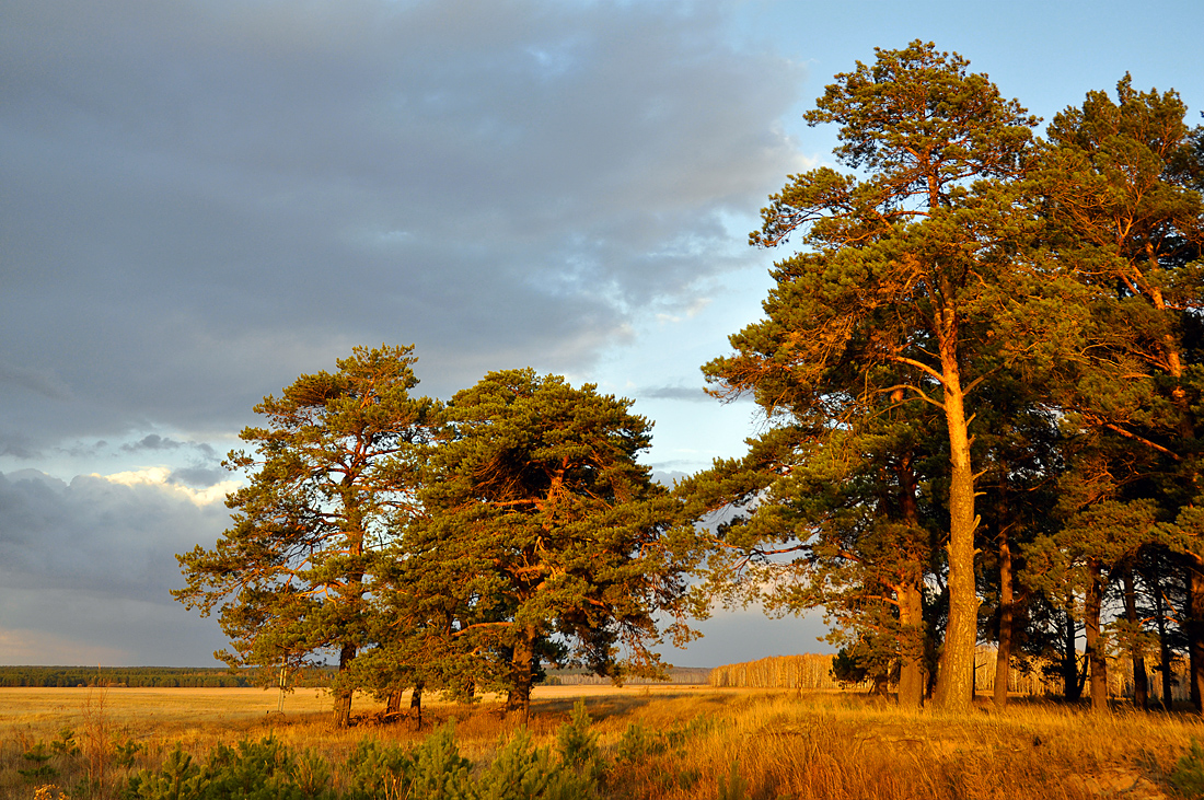 photo "***" tags: landscape, autumn, clouds