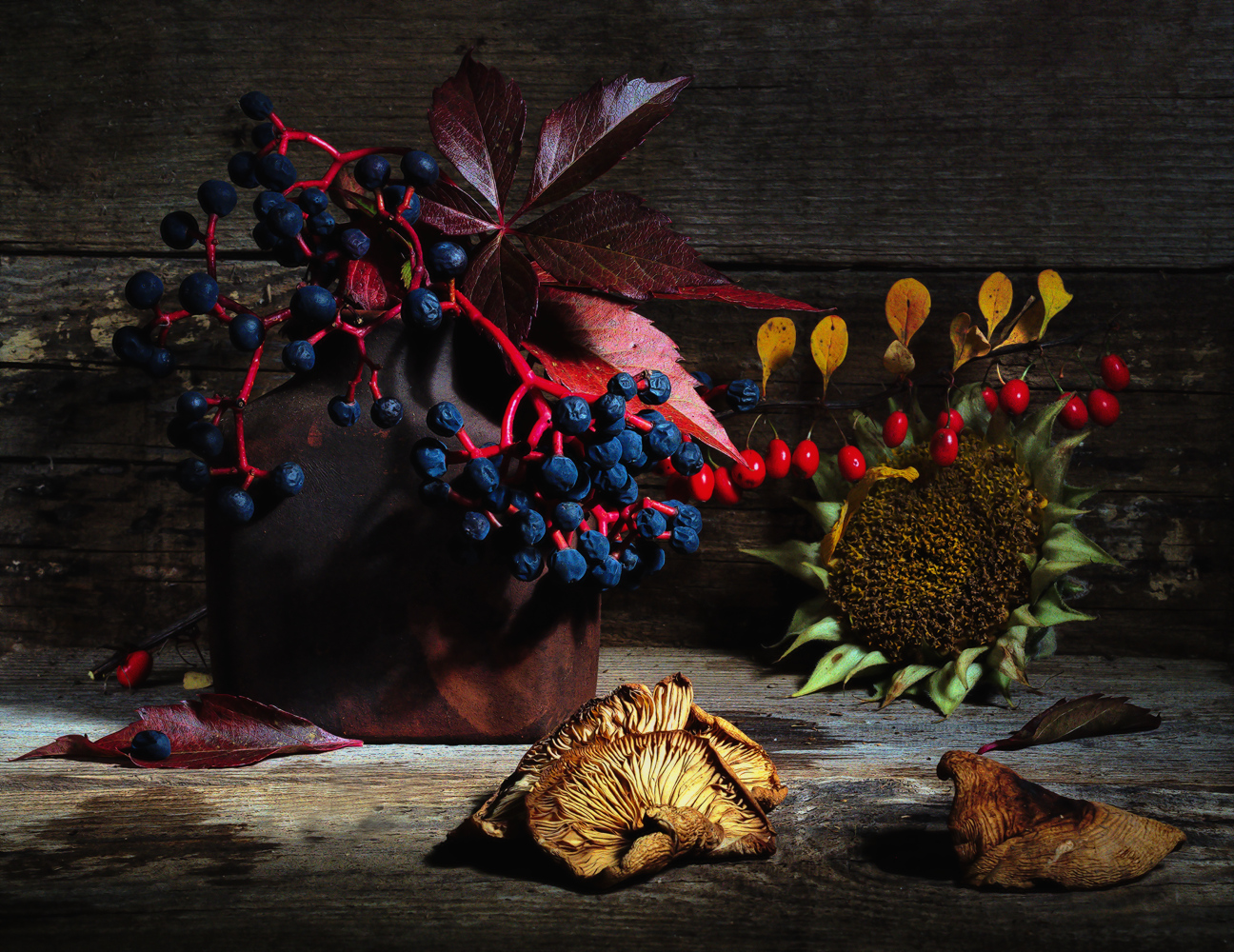 photo "***" tags: still life, autumn, Барбарис, виноград, дикий виноград, листья