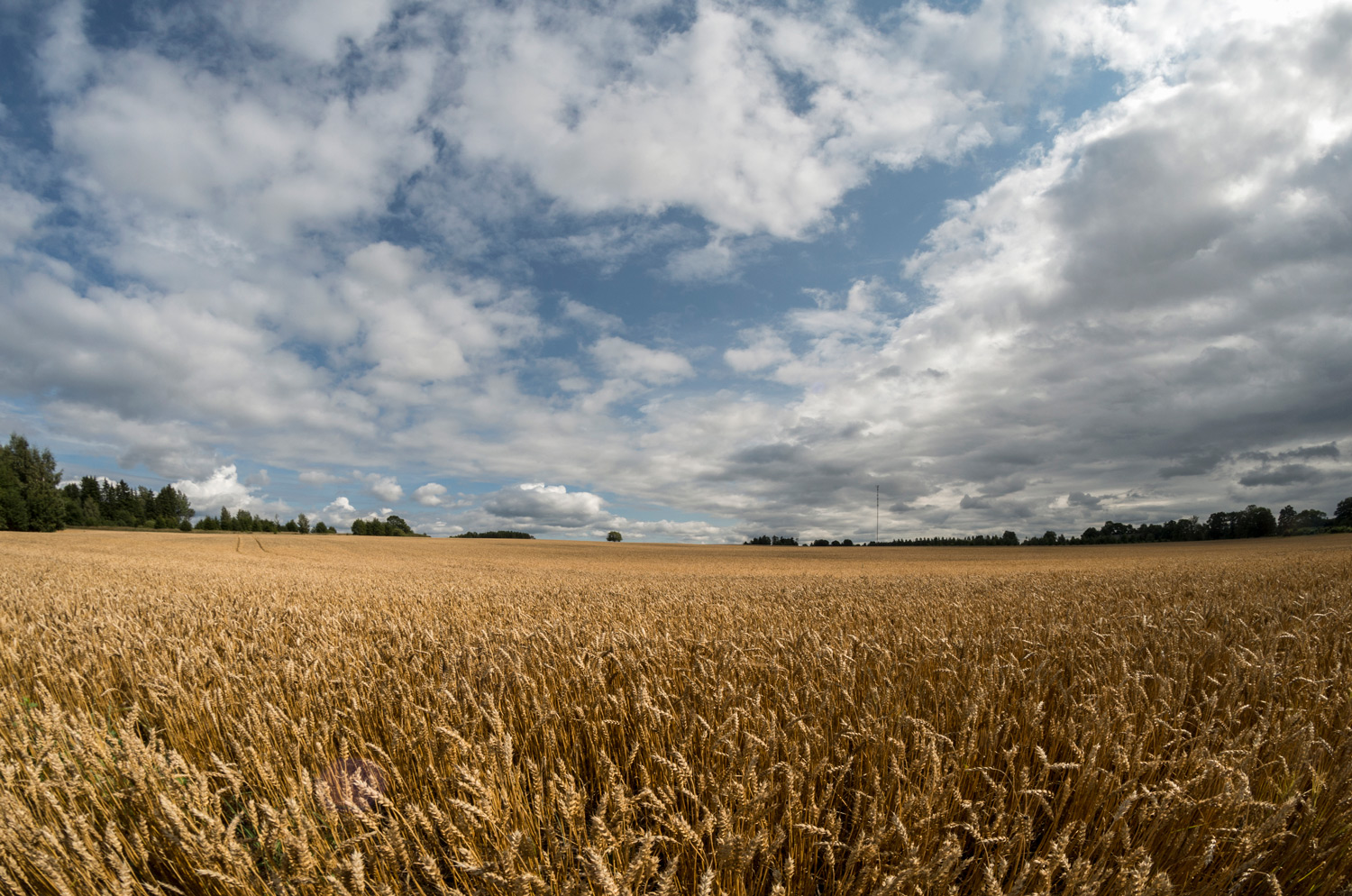 photo "***" tags: landscape, nature, 