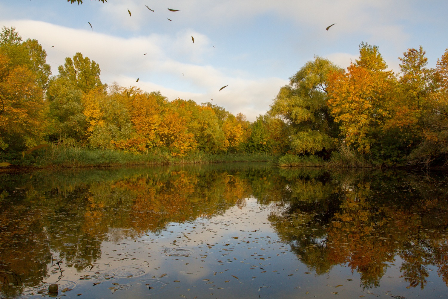 photo "***" tags: landscape, nature, 