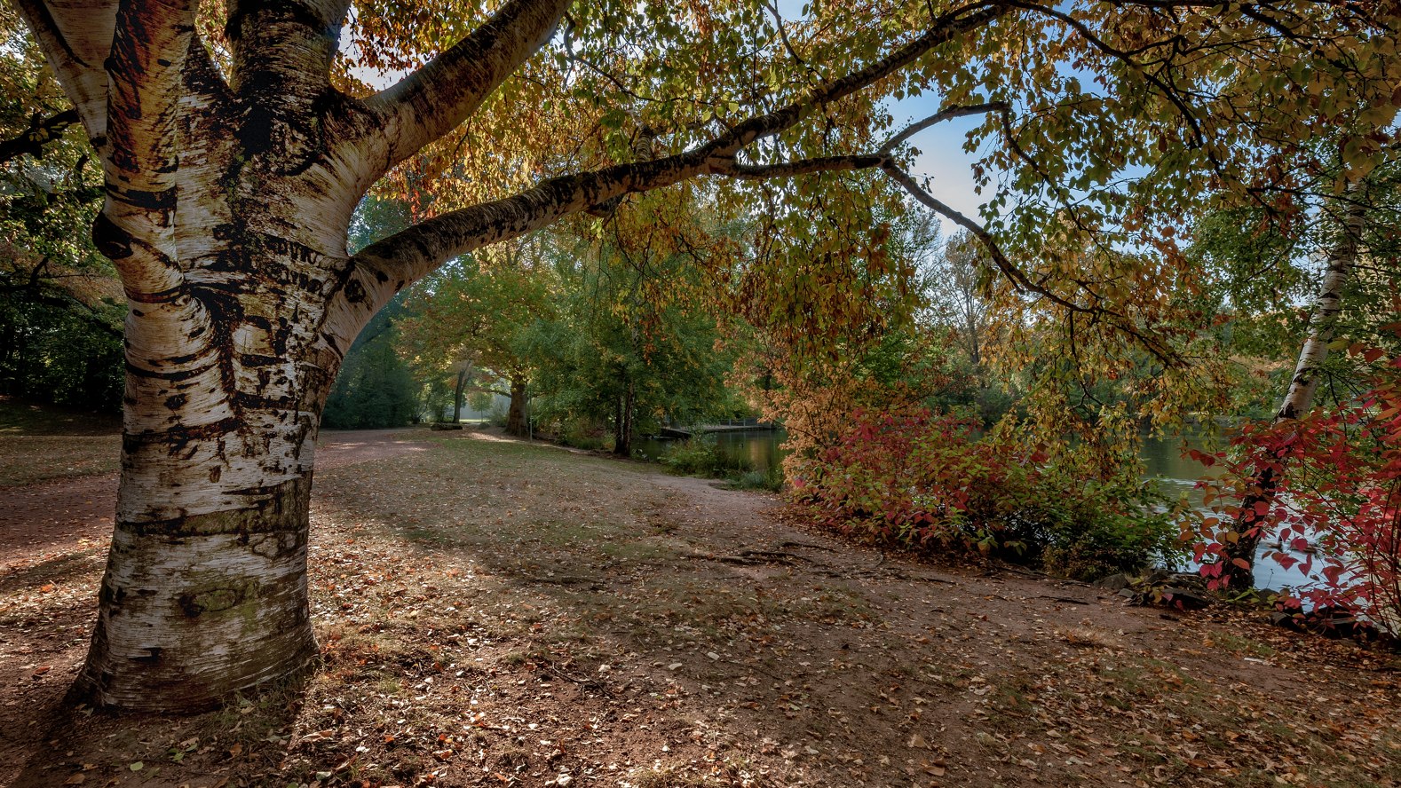 photo "***" tags: landscape, 