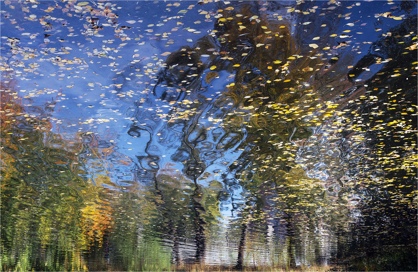 photo "***" tags: abstract, landscape, autumn, pond, деревья, желтые листья, отражение в воде