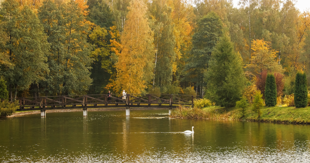 фото "Осенние краски" метки: пейзаж, 