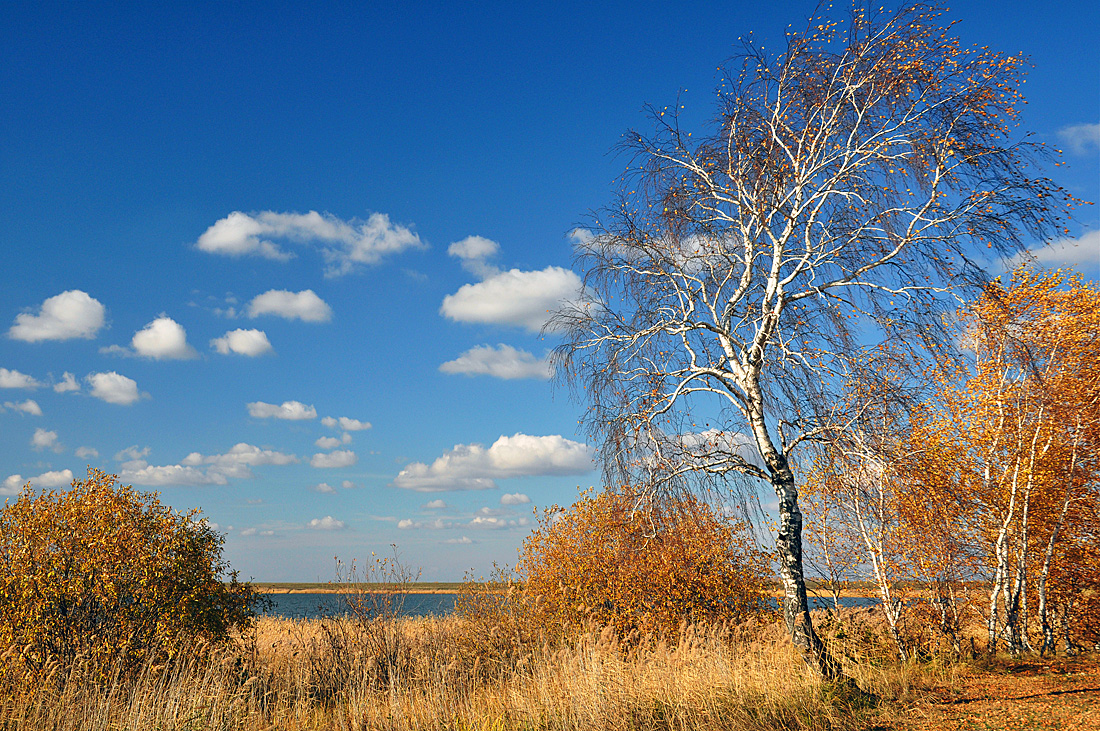 photo "***" tags: landscape, autumn, clouds