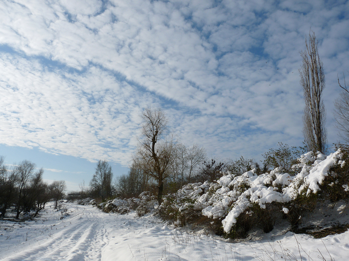 photo "***" tags: landscape, winter