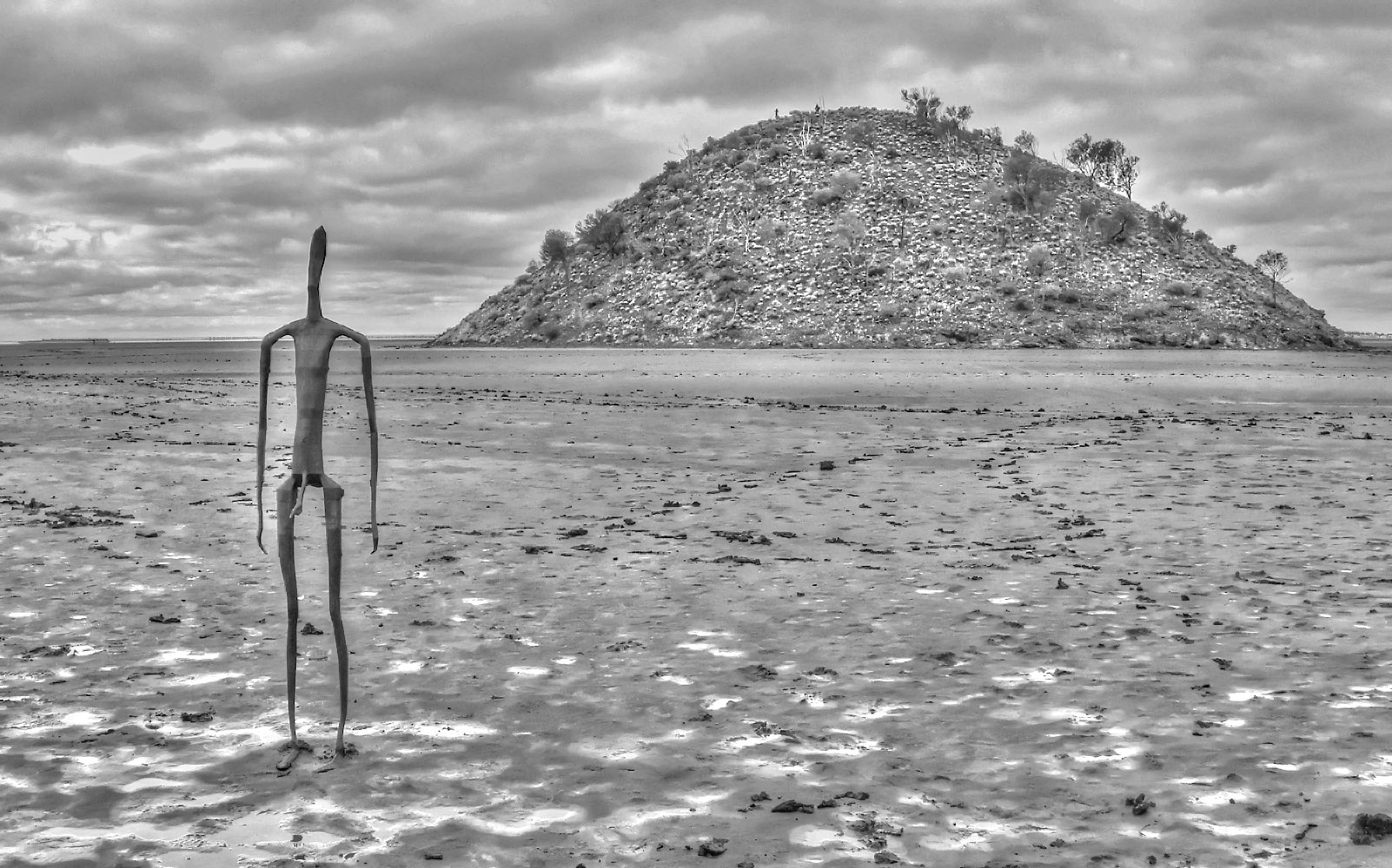 фото "Kalgoorlie... Lake Ballard" метки: жанр, черно-белые, 