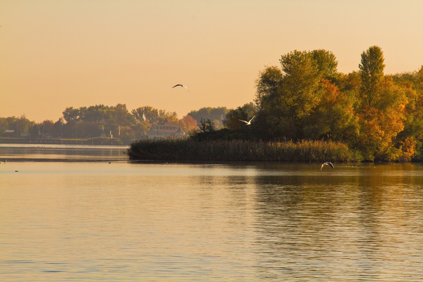 photo "***" tags: landscape, nature, 