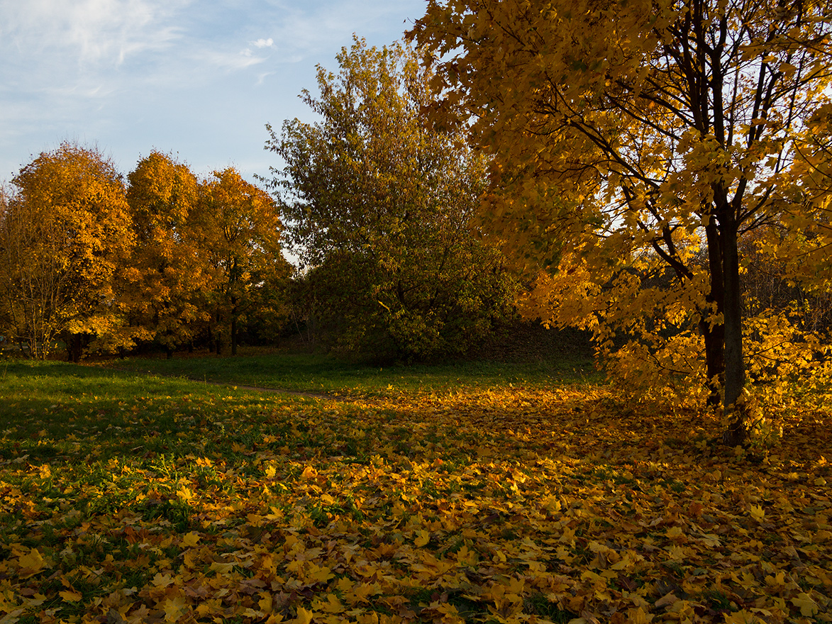 фото "Золотая осень" метки: пейзаж, 