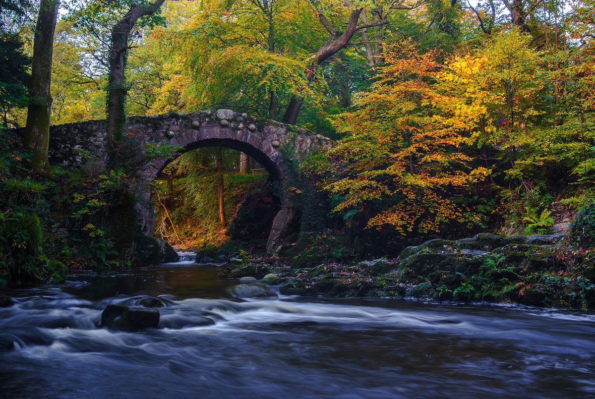 фото "Tollymore's gold" метки: пейзаж, Europe, forest, осень