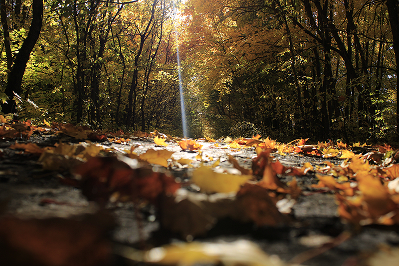 photo "***" tags: landscape, 
