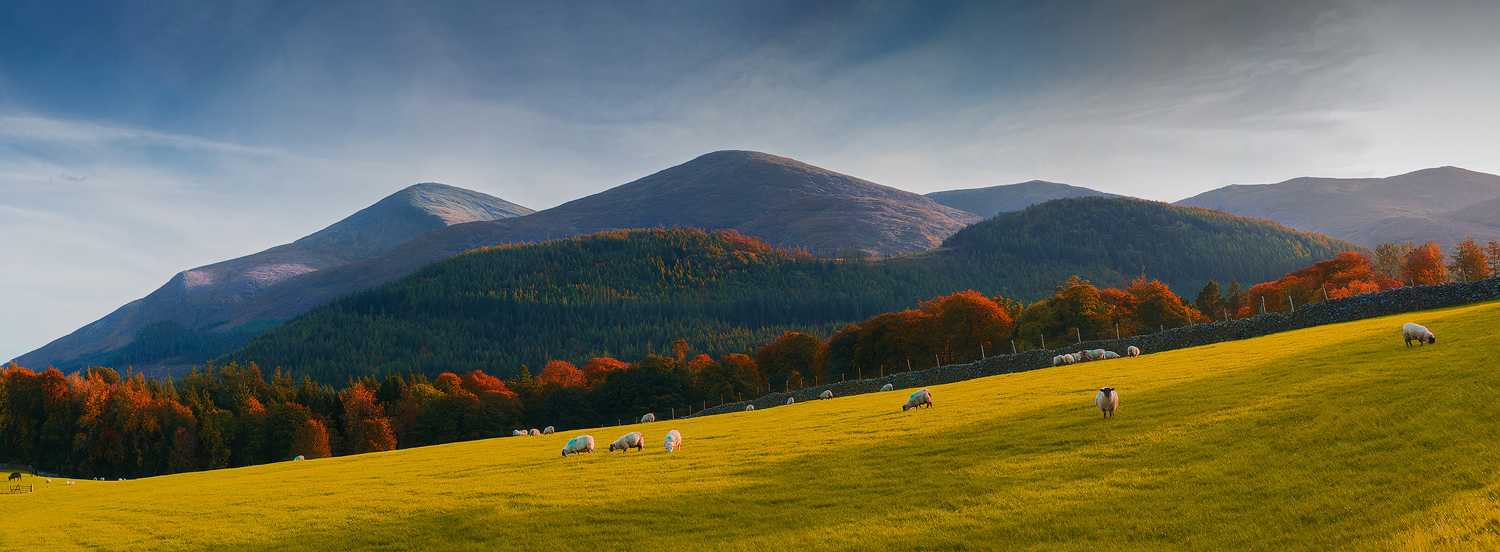 photo "Grazing with the view" tags: landscape, 