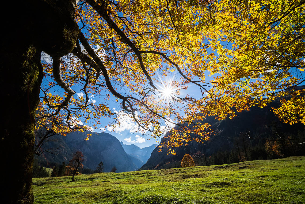 photo "15 years later" tags: landscape, Europe, autumn