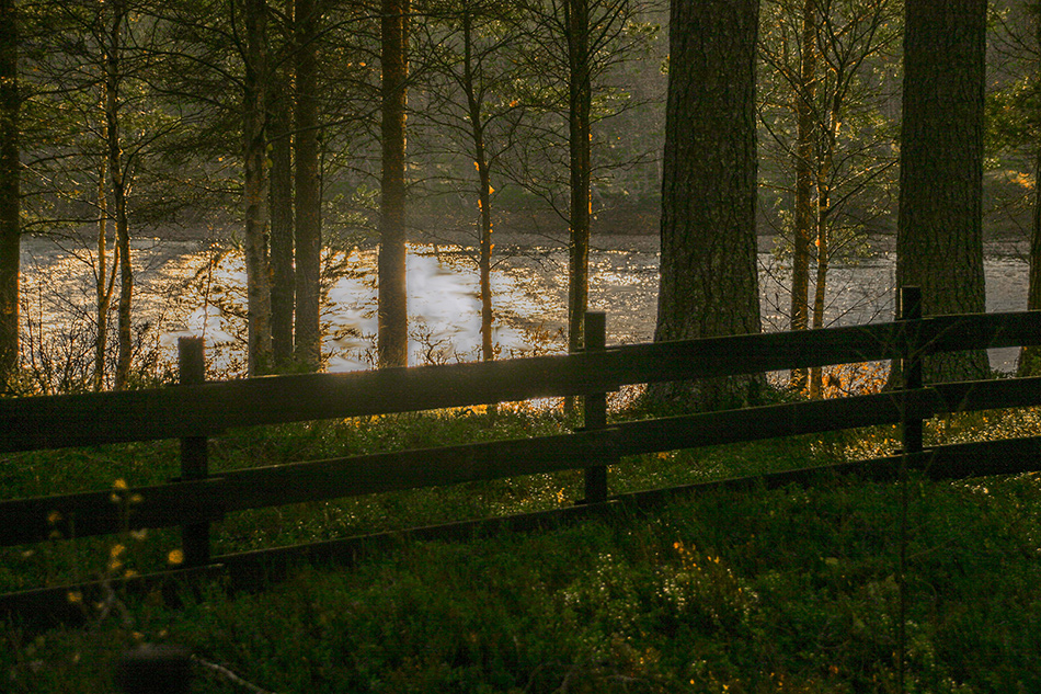 photo "***" tags: landscape, Europe, autumn, forest, water