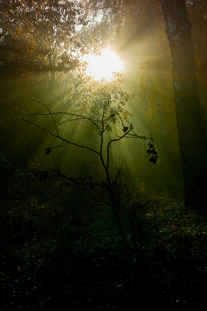 photo "***" tags: landscape, 