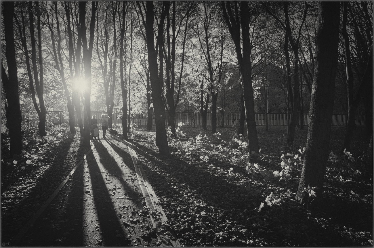 photo "***" tags: landscape, misc., 