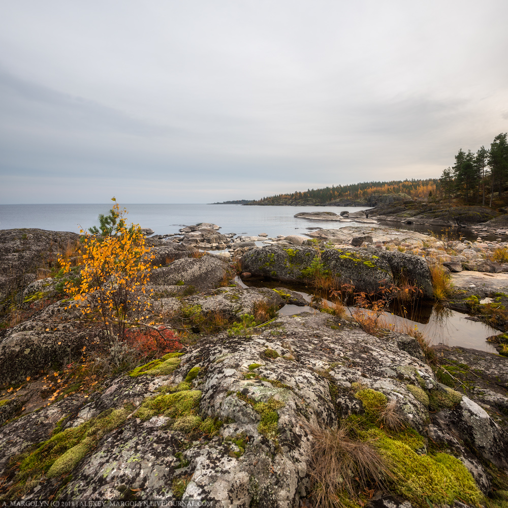 photo "***" tags: landscape, travel, nature, Karelia, autumn, lake, Ладожское, шхеры