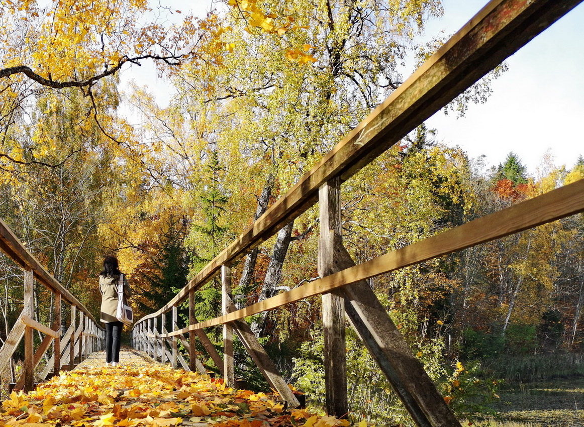 фото "Гуляя в Осень" метки: путешествия, 