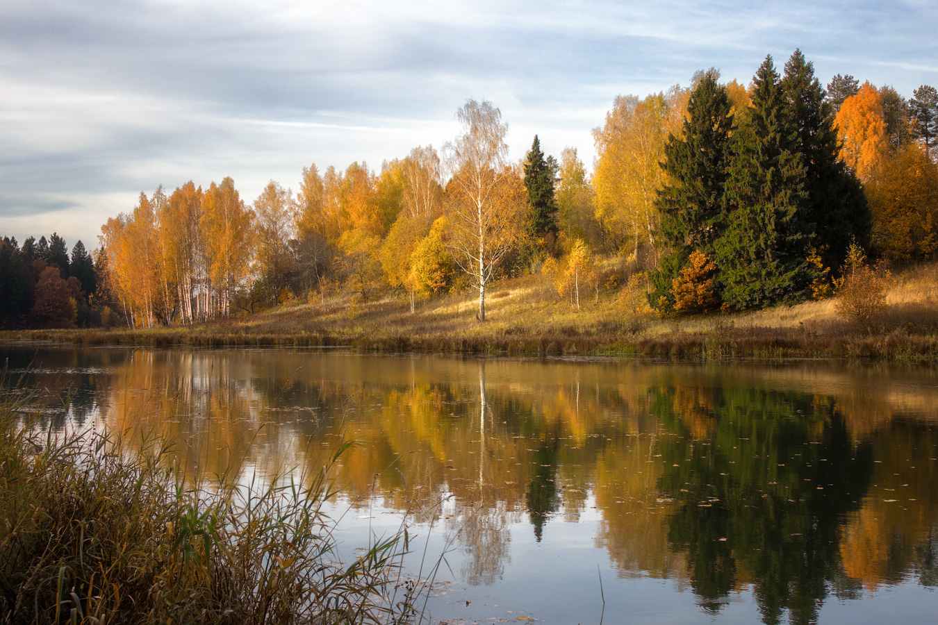 photo "***" tags: landscape, lake, park, water, Абрамцево