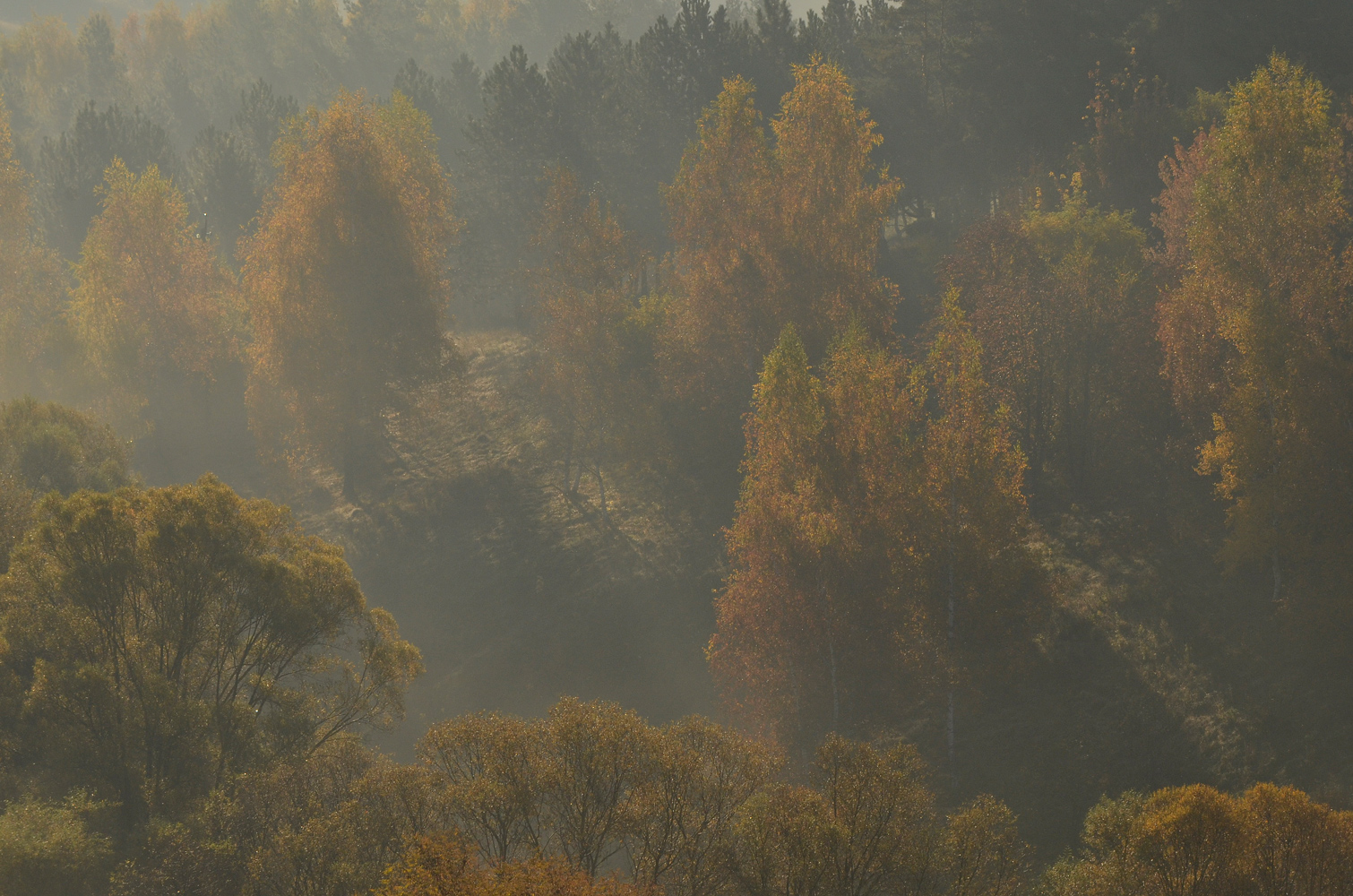 photo "***" tags: landscape, autumn, morning