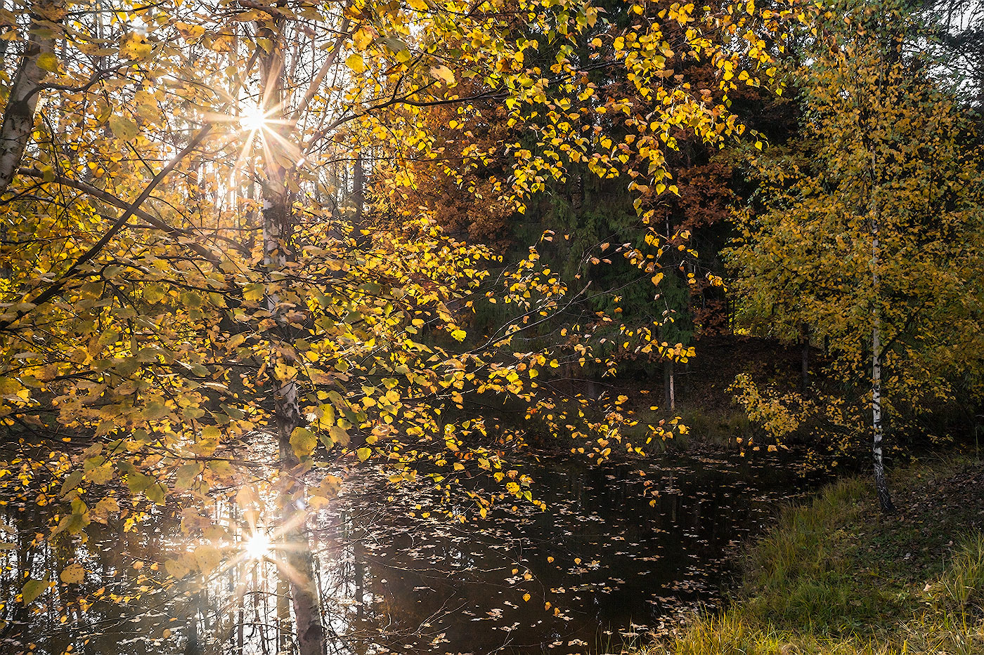 photo "***" tags: nature, landscape, 