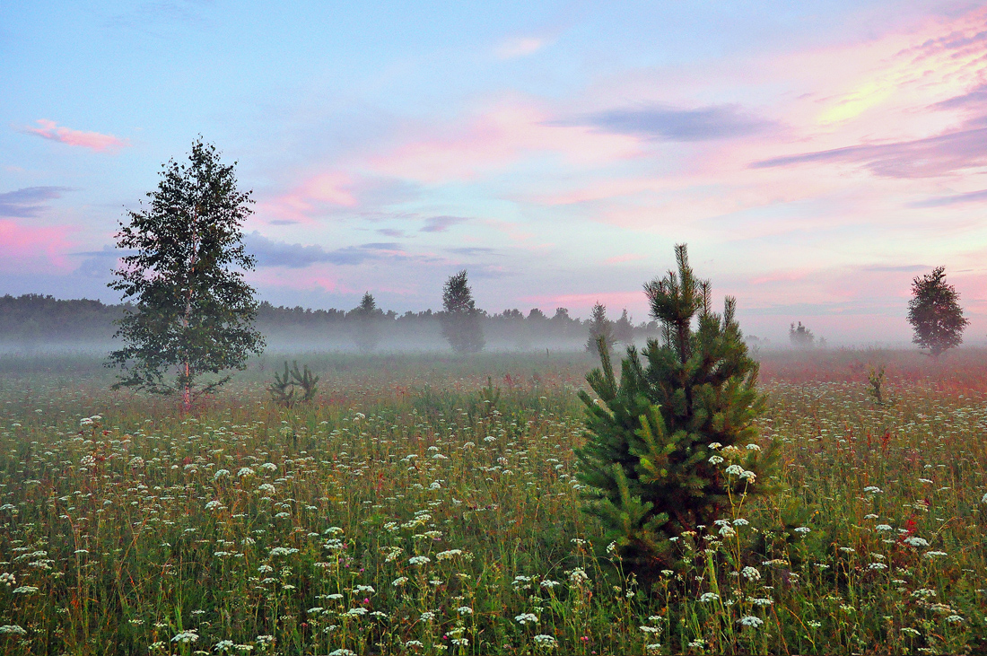 photo "***" tags: landscape, summer