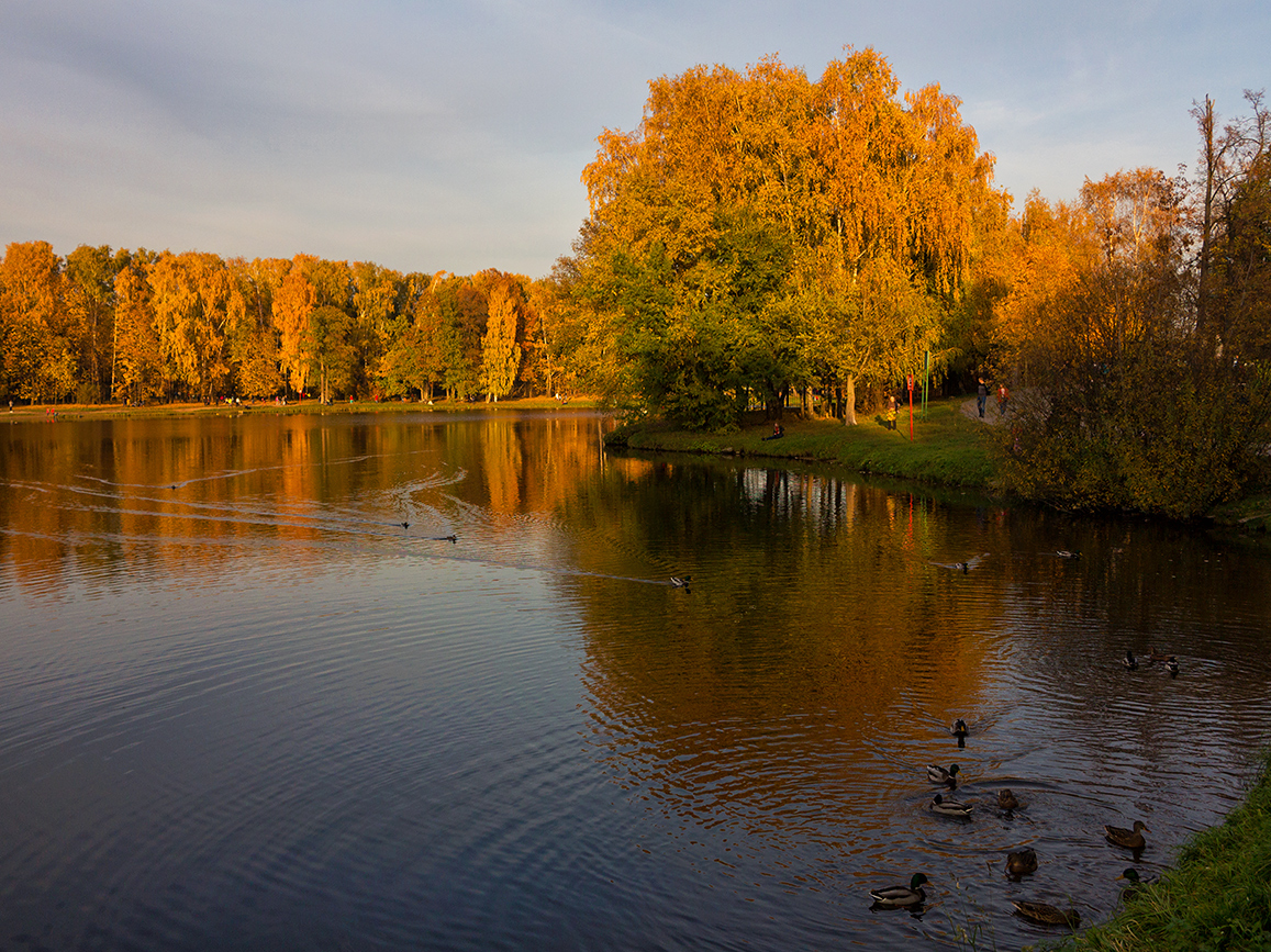 фото "* * *" метки: пейзаж, осень