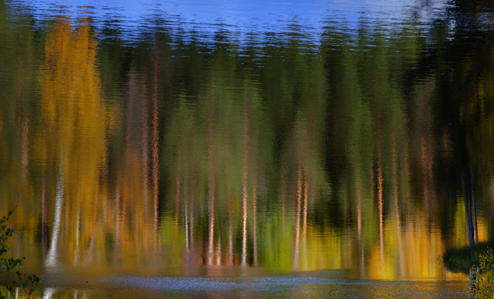 photo "***" tags: landscape, 
