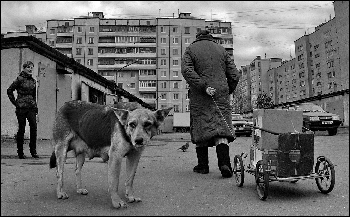 фото "Безнадега" метки: , 