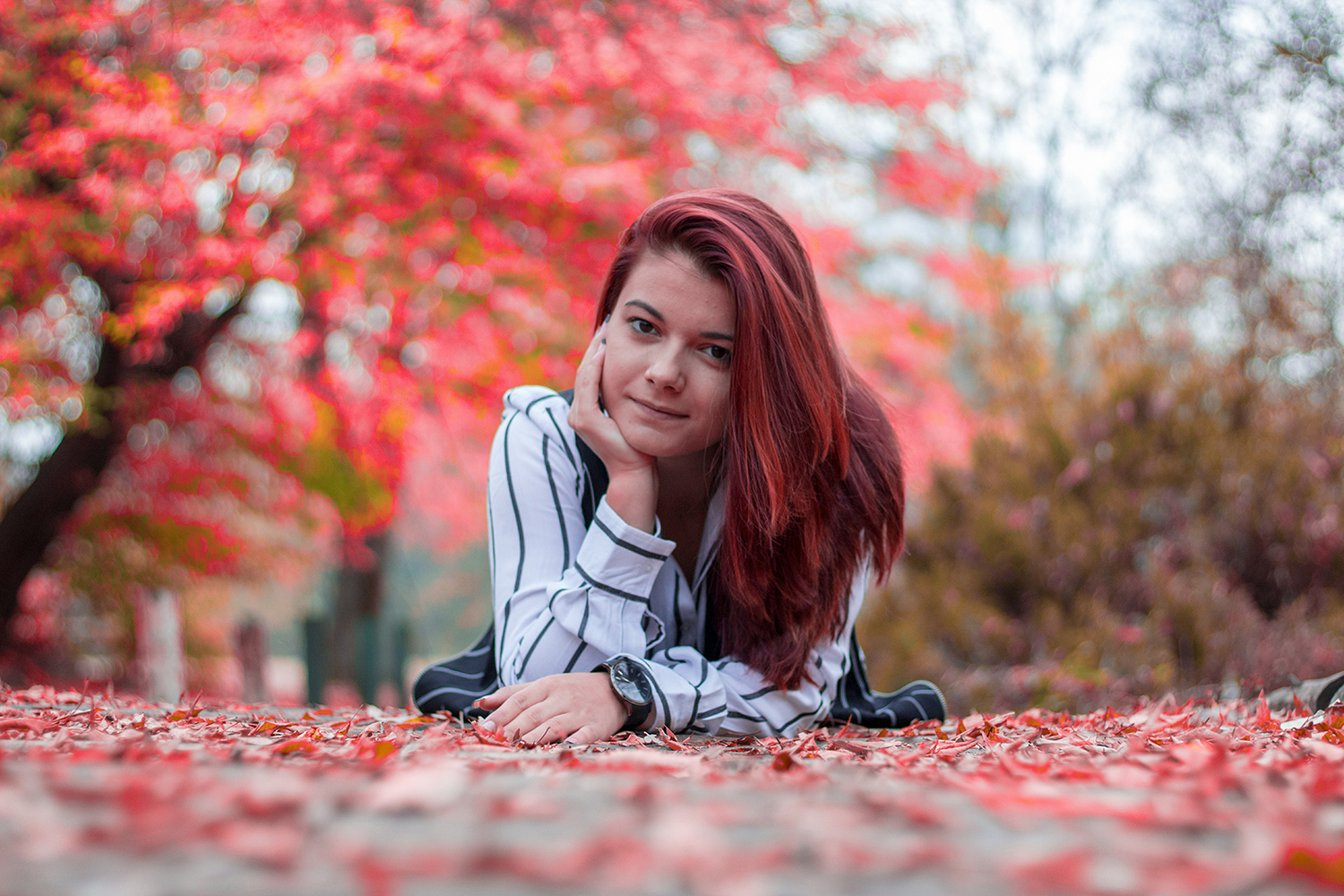 photo "K" tags: , 