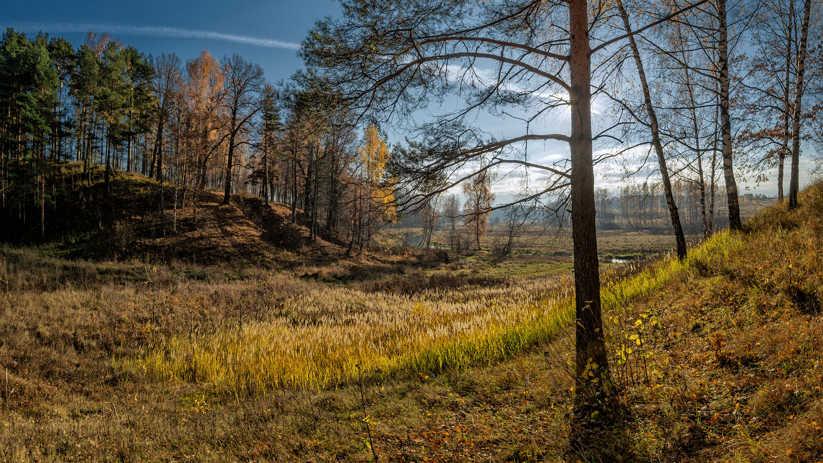 фото "солнечная осень" метки: пейзаж, природа, 