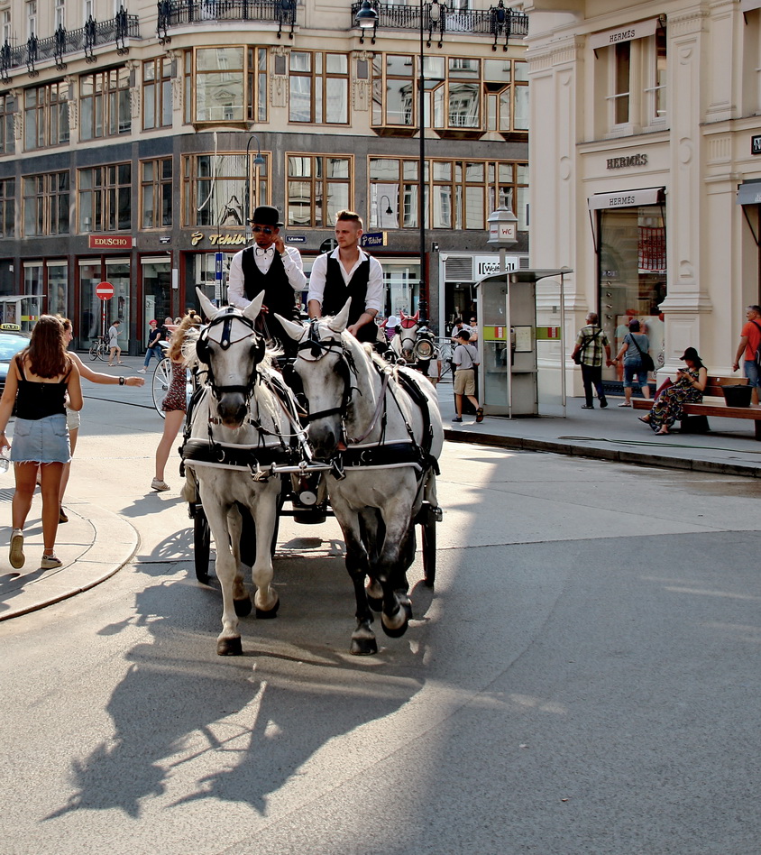 photo "***" tags: street, travel, Австрия