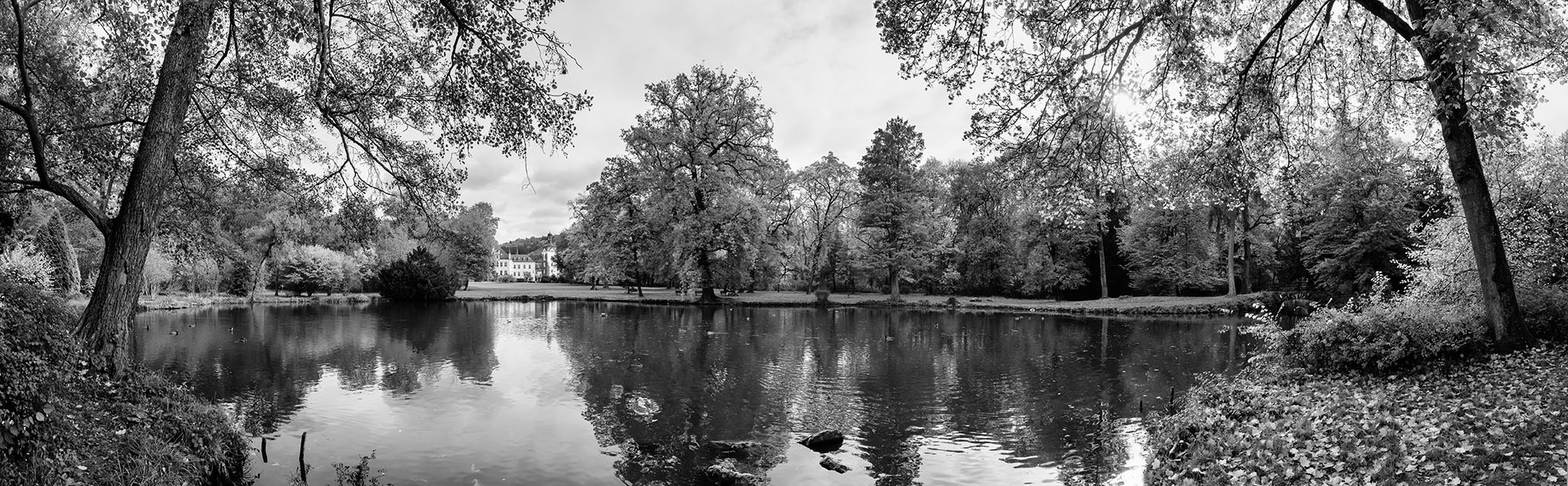 photo "***" tags: landscape, black&white, Europe, autumn