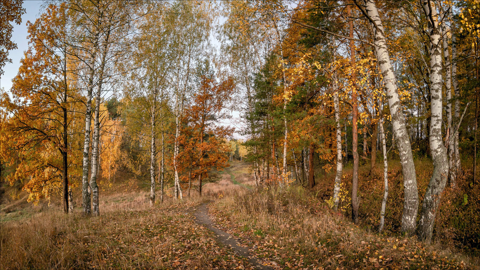 photo "***" tags: nature, landscape, 