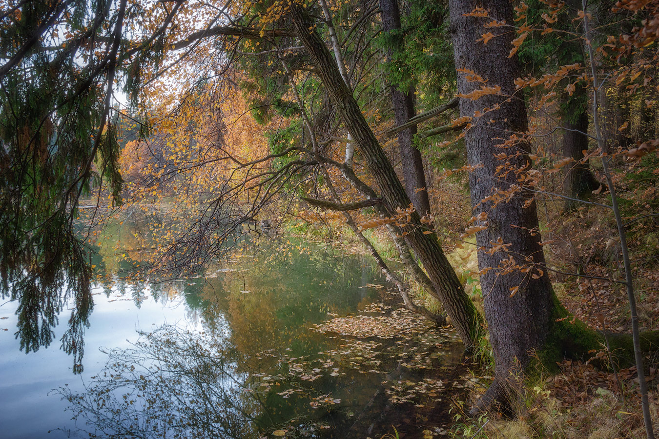 фото "Осень в Абрамцево 2" метки: пейзаж, Абрамцево, вода, осень, парк