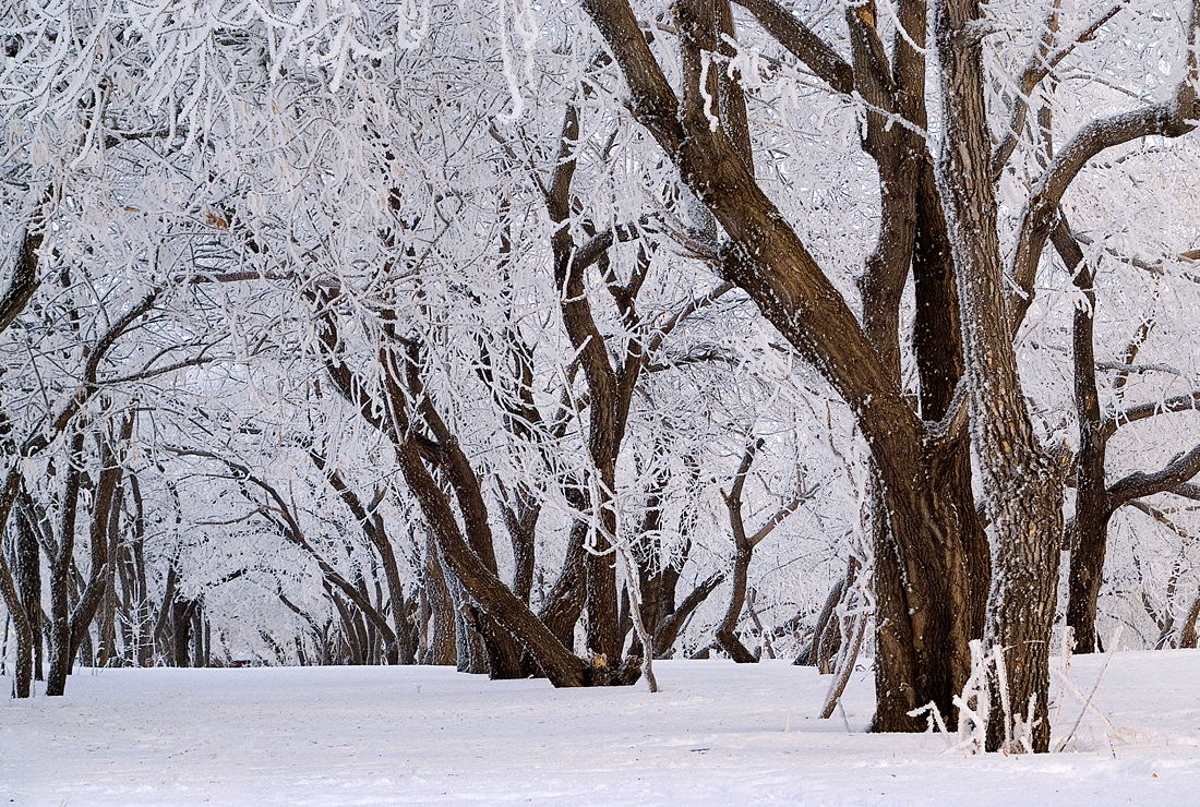 photo "***" tags: landscape, winter